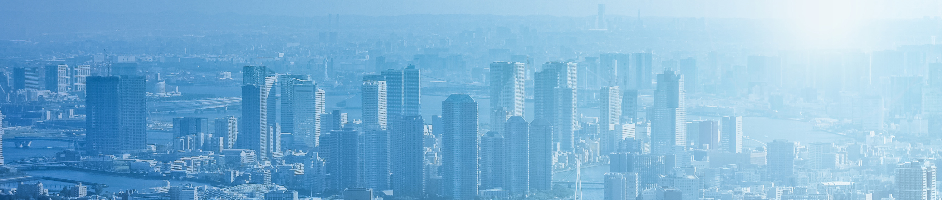 企業概要 Company Profile